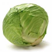 GREEN CABBAGE