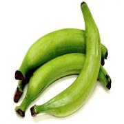 PLANTAIN