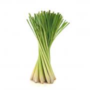 LEMON GRASS