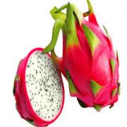 DRAGONFRUIT