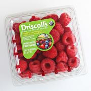 Driscolls Raspberries