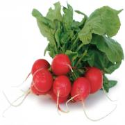 Red Radish Bunch