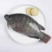 TILAPIA SMALL