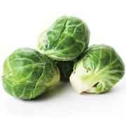 BRUSSELS SPROUTS