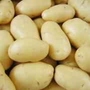 White Potatoes