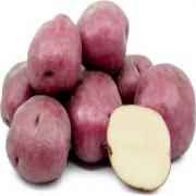 Red Potatoes
