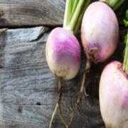 Turnips