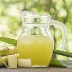Sugar Cane