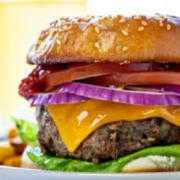 Gyro Cheese Burger with Fries