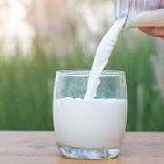 Masala Chaas (butter milk)