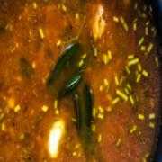 Rasam