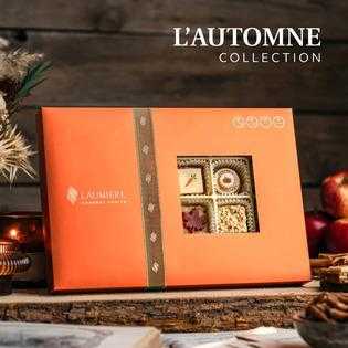 LAutomne Collection - Rectangle