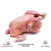 zabiha halal whole chicken (Approx 3.-4 Lbs) Approved by Sharia Board of America (Winter Sale) 